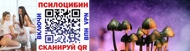 магазин продажи наркотиков  Бакал  Галлюциногенные грибы MAGIC MUSHROOMS 