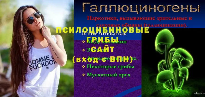 Галлюциногенные грибы GOLDEN TEACHER  даркнет сайт  Бакал 